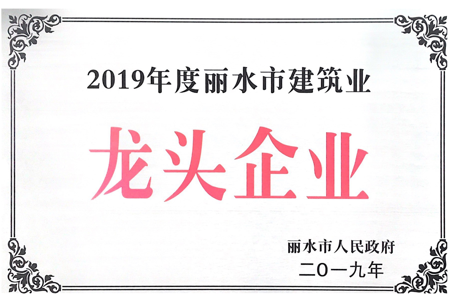 2019年度丽水建筑业龙头企业